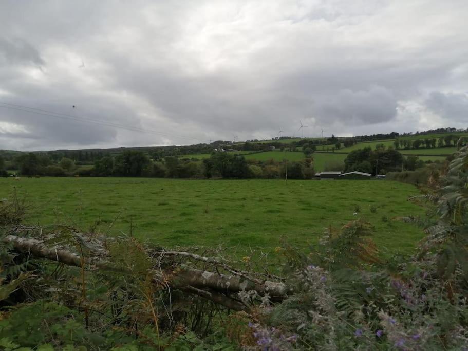 Caman Inn Kilkenny Luaran gambar